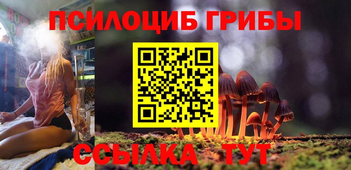 Псилоцибиновые грибы GOLDEN TEACHER  наркотики  Богородицк  Вход с VPN 